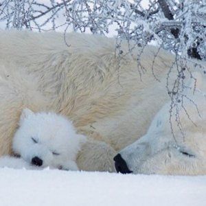 Duplicate listing that seems to not want to be deleted